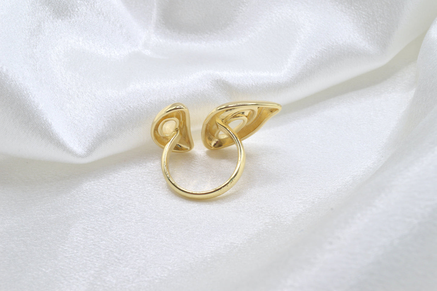 Geometric Ring
